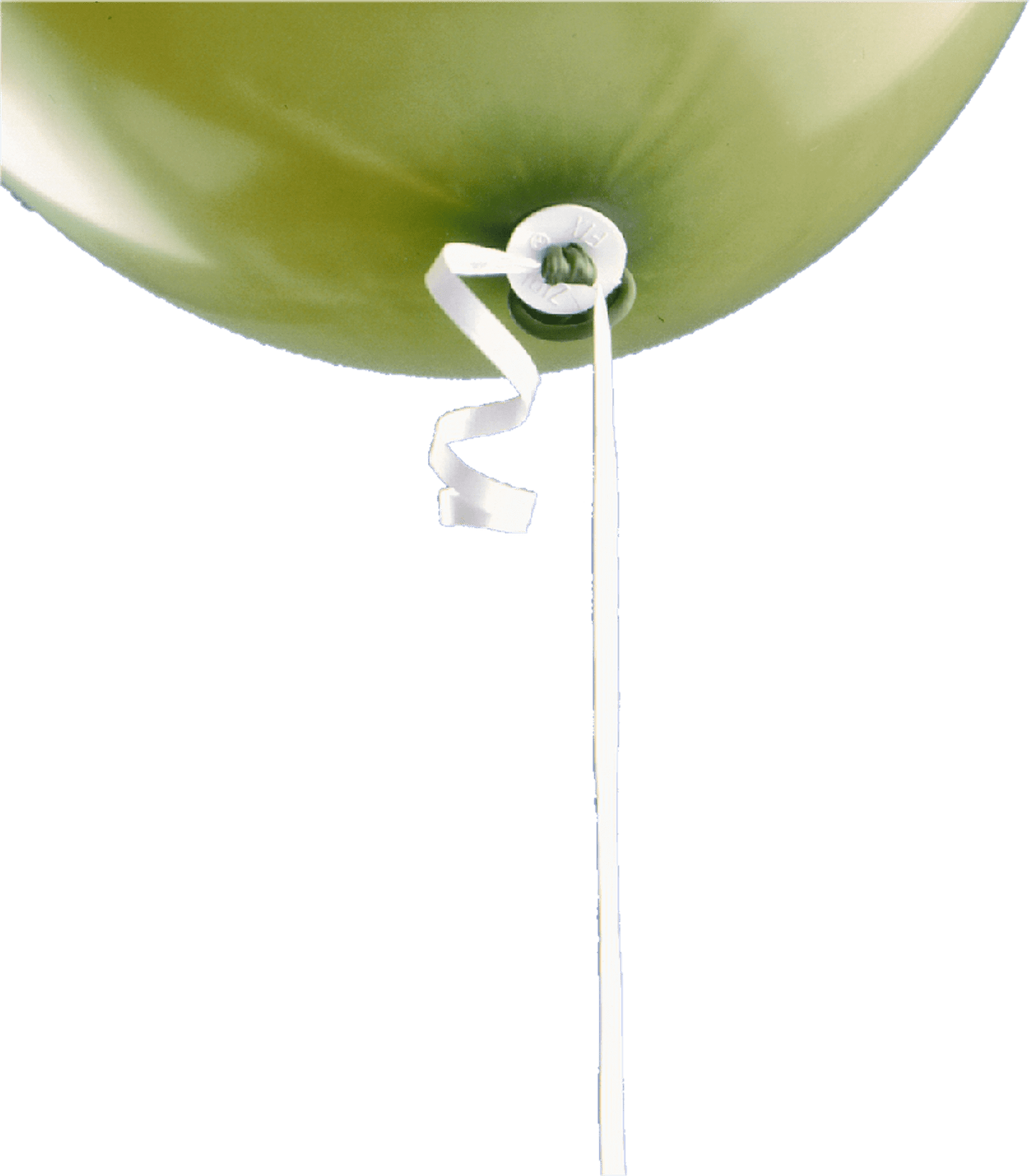 ZF4QT - 1'000 ZIBI-Fix-Bandverschlüsse (Polyband), 20er-Bündel