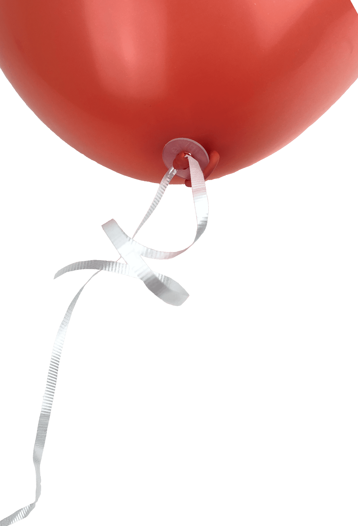 ZF4A50 - 50 ZIBI-Fix-Bandverschlüsse (Polyband)